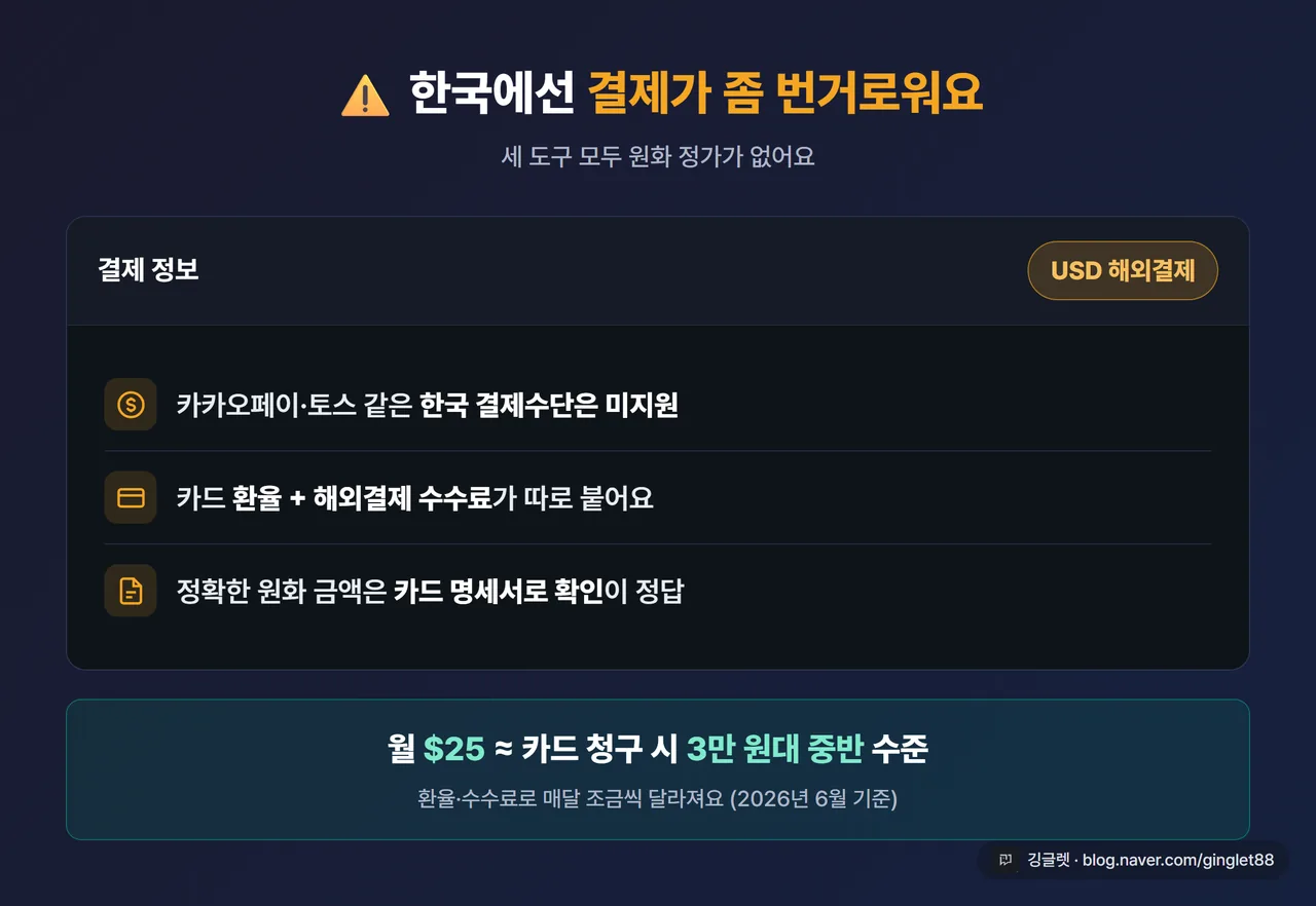 결제 화면 예시 카드 - “USD 해외결제” 강조 + “카카오페이·토스 미지원 / 카드 환율·수수료 별도 / $25 ≈ 카드 청구 시 3만 원대 중반” 텍스트. 네이비 카드에 그린 포인트