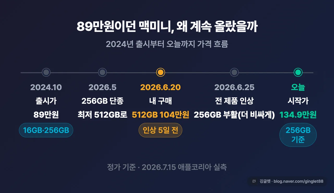 가격 타임라인 - 2024년 출시부터 오늘까지, 내 구매 시점(6/20)을 별도 강조