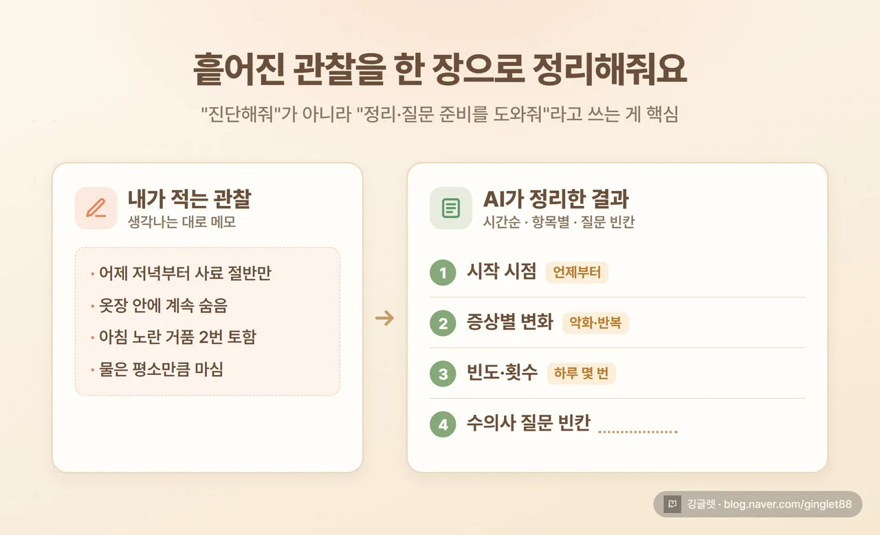AI에 관찰 내용을 입력하면 ’시간순 정리표 + 수의사 질문 빈칸’으로 정돈돼 나오는 과정 흐름도