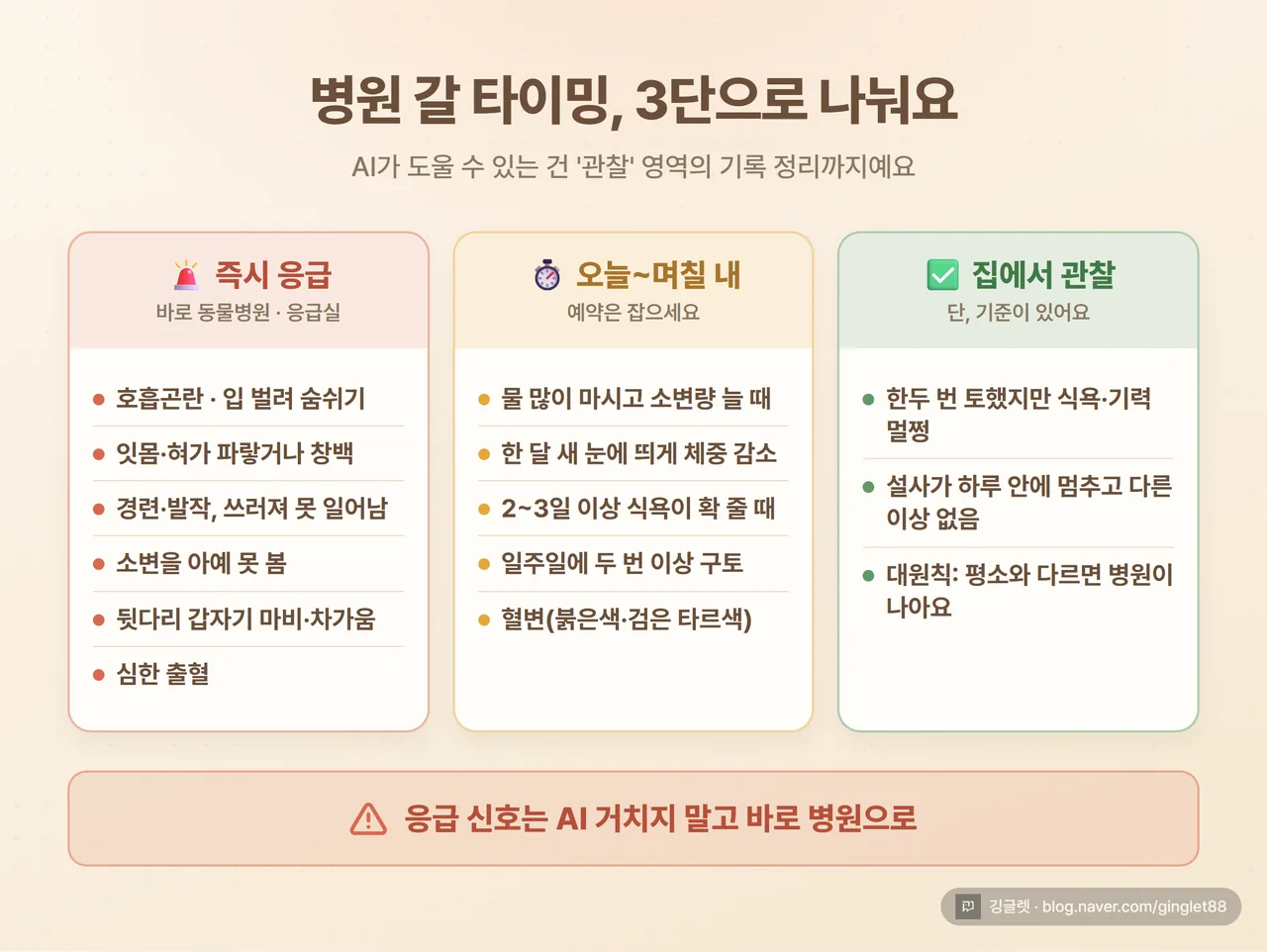 인포그래픽 - ‘병원 갈 타이밍 3단 구분표’. 🚨즉시 응급(호흡곤란·청색증·발작·쓰러짐·배뇨불가·뒷다리마비·심한출혈) / ⏱️며칠 내(물 많이 마심·체중감소·식욕저하·반복구토·혈변) / ✅관찰(일회성 구토, 하루 내 멈춘 설사). 하단에 “응급 신호는 AI 거치지 말고 바로 병원” 강조 밴드