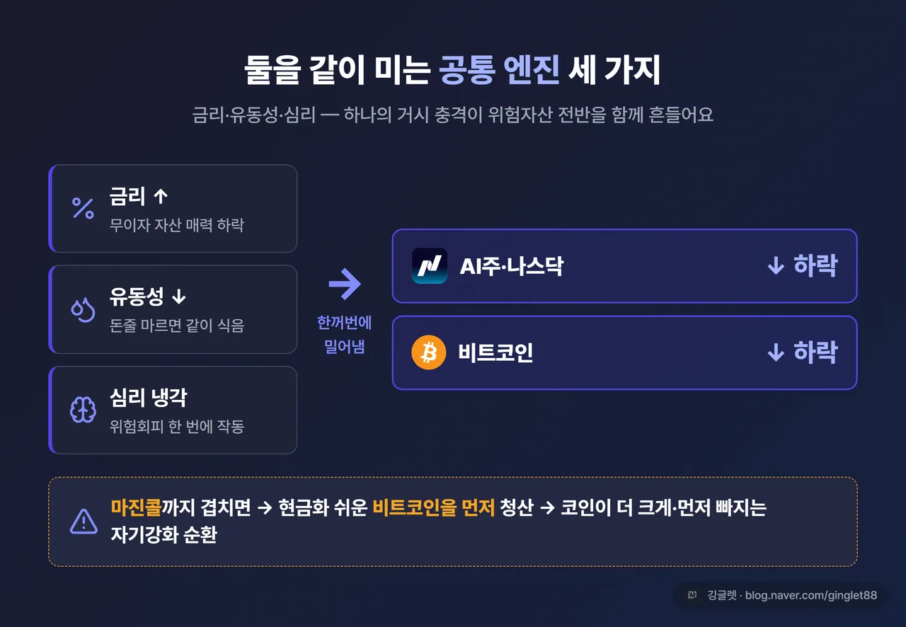 메커니즘 다이어그램 - [금리↑·유동성↓·심리냉각] → (공통 엔진) → [AI주 ↓ + 비트코인 ↓], 옆에 [마진콜 → 코인 먼저 청산] 화살표, 인디고 다이어그램
