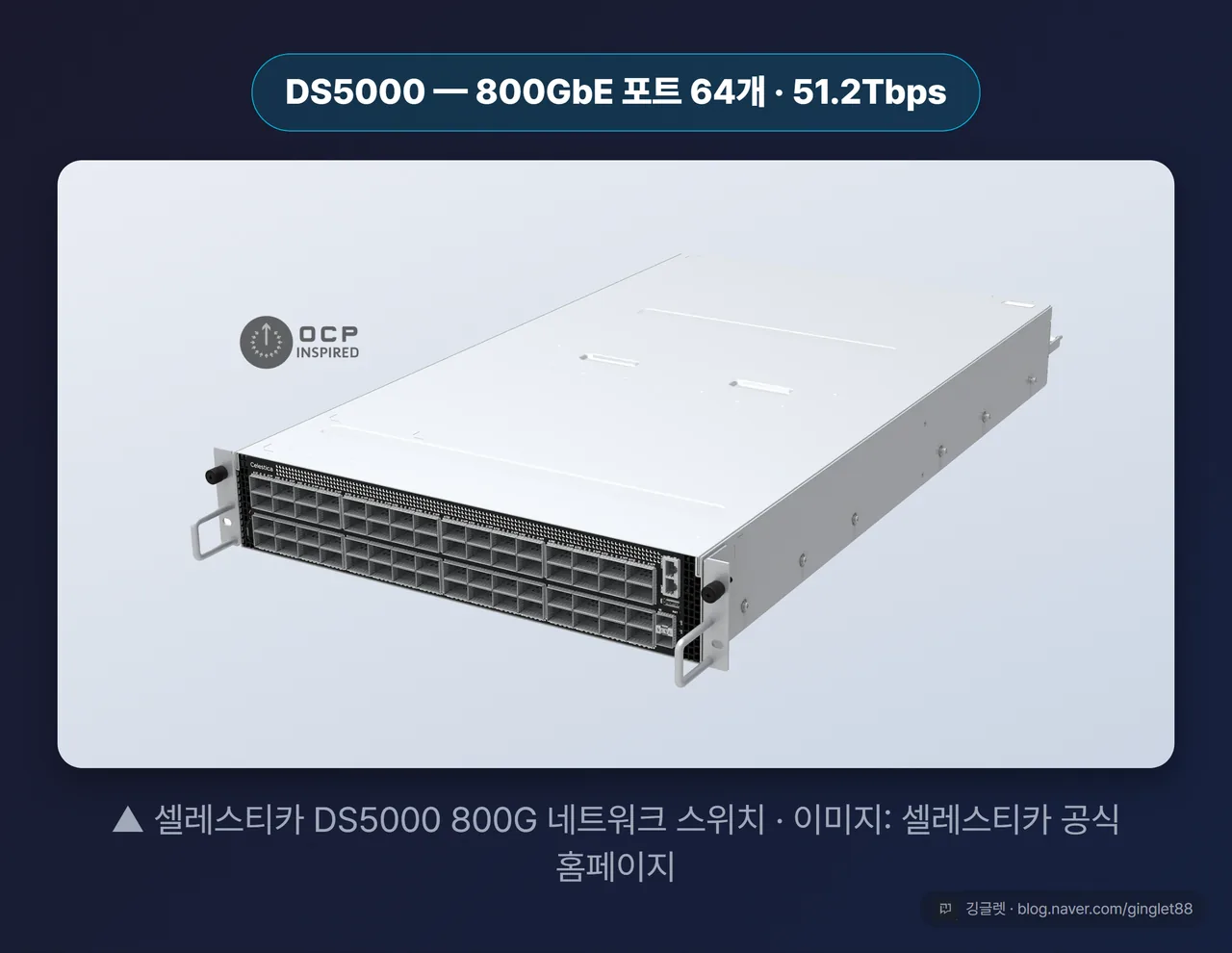 셀레스티카 DS5000 800G 스위치