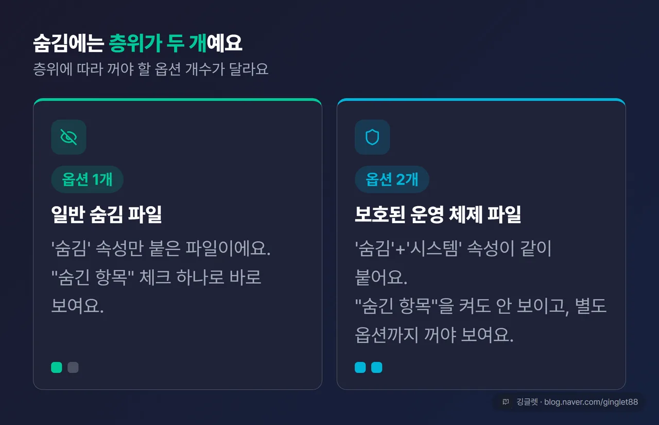 역할=요약 | 숨김의 두 층위 다이어그램 — 왼쪽 ‘일반 숨김 파일: 숨긴 항목 체크 하나로 표시’, 오른쪽 ‘보호된 운영 체제 파일: 숨김+시스템 속성, 별도 옵션까지 꺼야 표시’
