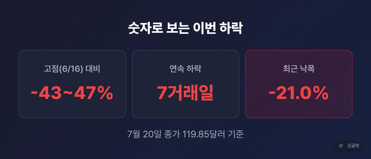 핵심 수치 3종 카드 - “고점 대비 -43~47%” / “7거래일 연속 하락” / “누적 -21.0%”. 7월 20일 종가 119.85달러 기준 표기