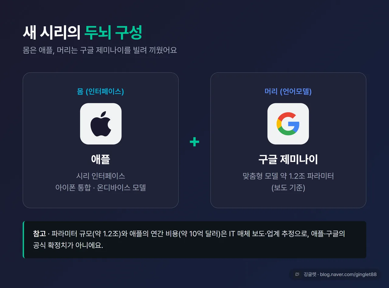 인포그래픽 - “새 시리의 두뇌 구성” 도식. 왼쪽 ’몸 = 애플(시리 인터페이스·아이폰 통합)’과 오른쪽 ’머리 = 구글 제미나이(약 1.2조 파라미터·보도 기준)’를 플러스로 연결. 애플 로고·구글 로고 자리
