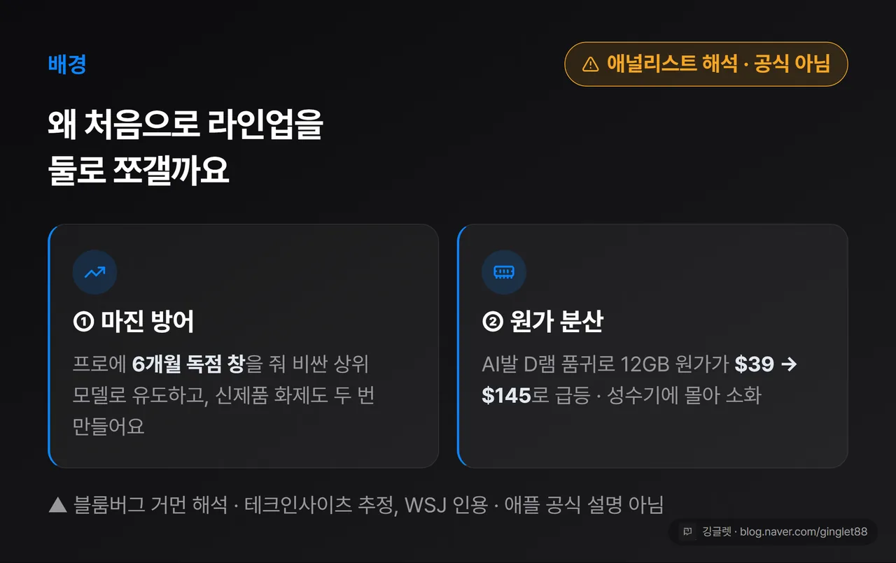 ‘왜 쪼개나’ 배경 2가지 카드 — 마진 방어(프로 6개월 독점 창) · 원가 분산(D램 원가 $39→$145)