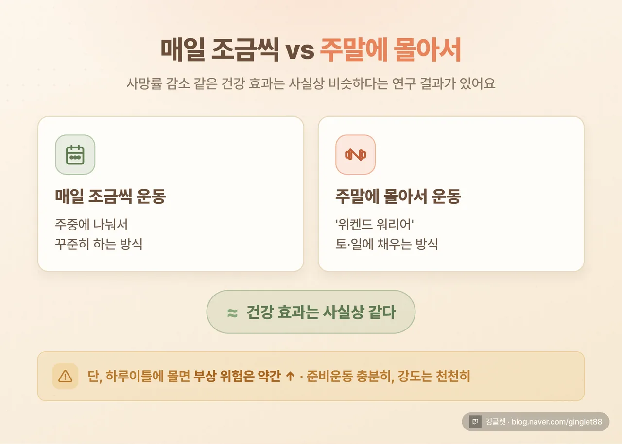 인포그래픽 - “매일 운동 vs 주말 몰아 운동, 건강 효과 사실상 같다” + 단서: 부상 위험 약간↑, 준비운동·점진적 강도 필요
