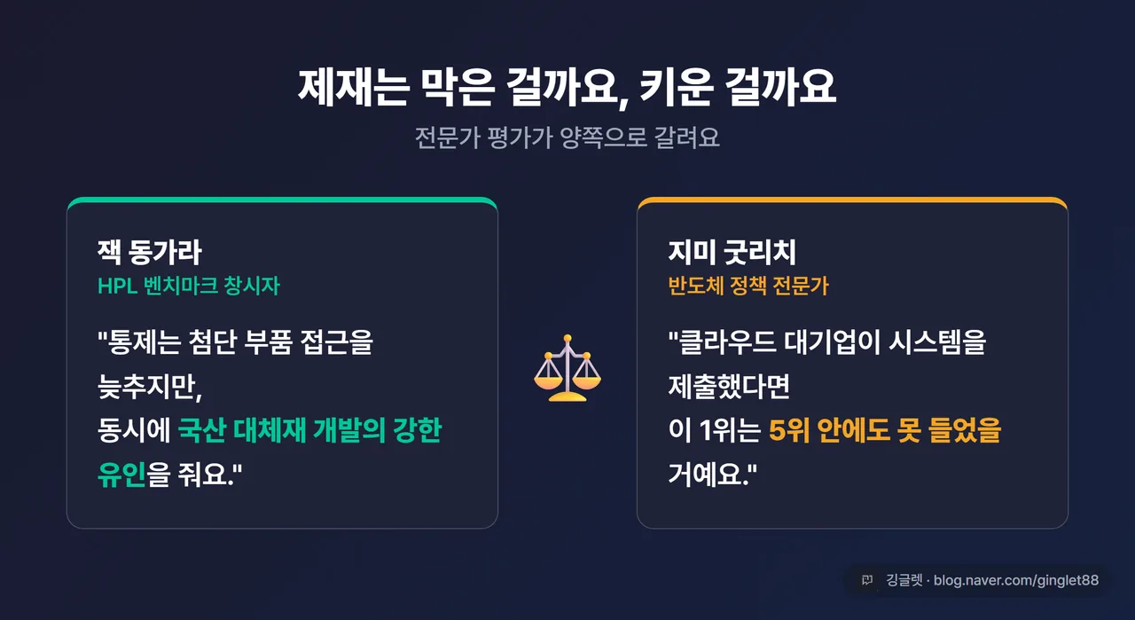인포그래픽 - 전문가 양론 카드. 좌측: 잭 동가라 “통제가 제약과 자립가속을 동시에” / 우측: 지미 굿리치 “하이퍼스케일러가 제출했다면 5위 밖”. 가운데 저울 아이콘으로 양론 대비