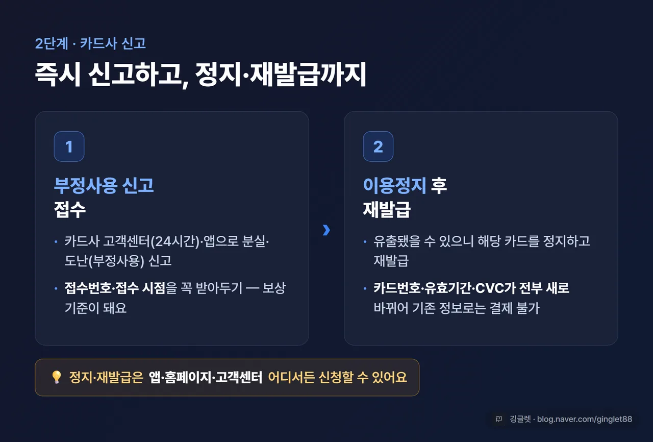 인포그래픽 - 카드사 신고 2단계 도식(① 고객센터·앱으로 부정사용 신고, 접수번호·접수시점 확보 → ② 카드 이용정지 후 재발급으로 카드번호·CVC 전체 변경)