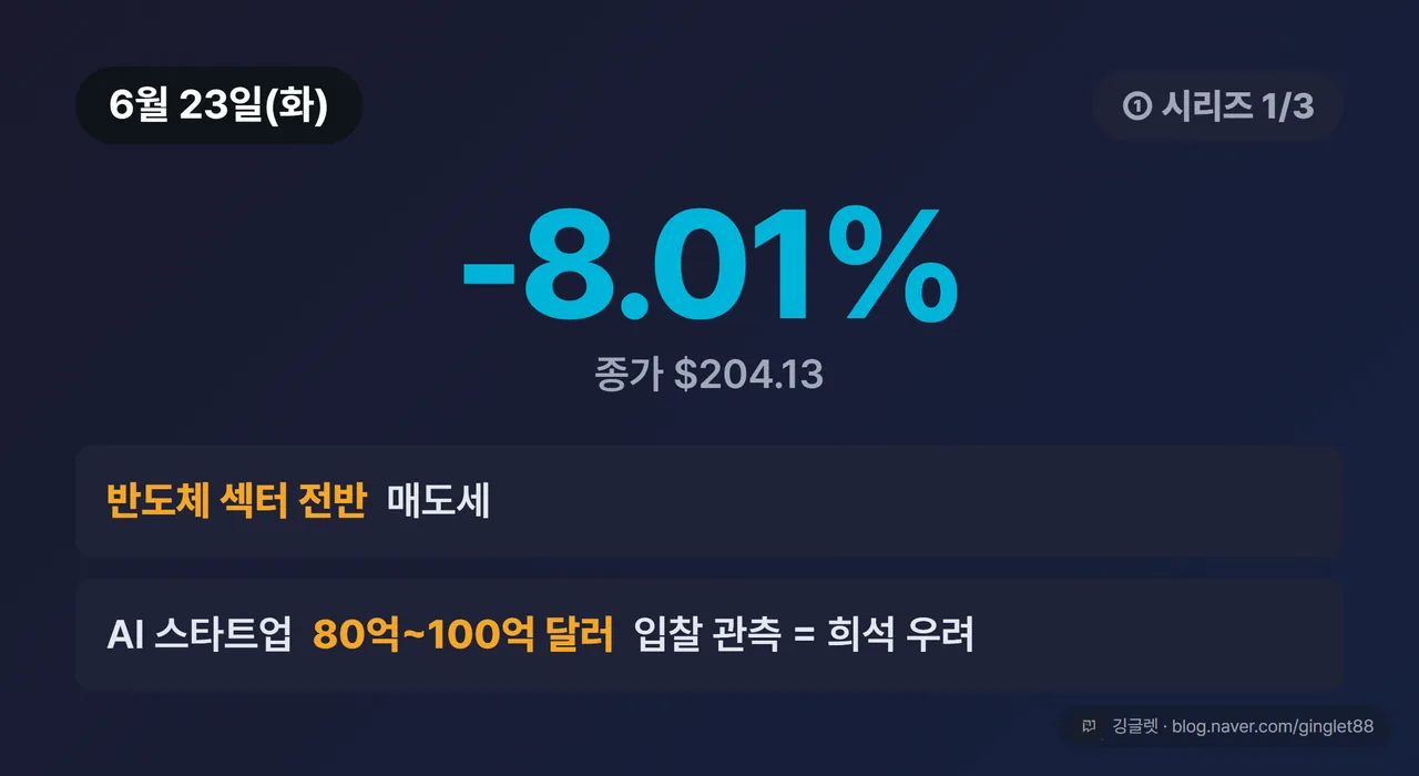 (시리즈 1/3) 6월 23일 카드 - 종가 $204.13, -8.01%, 반도체 섹터 매도 + AI 스타트업 80억~100억 달러 입찰 관측(희석 우려)