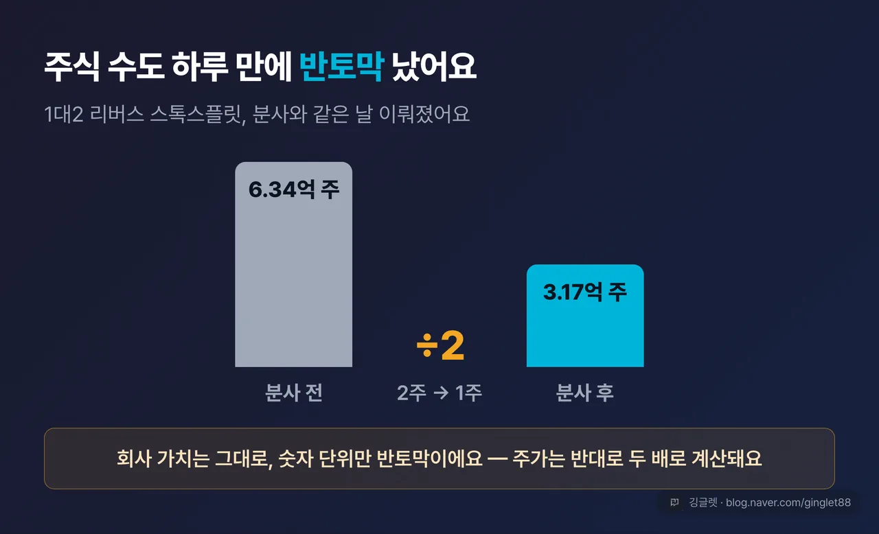 역할=데이터 | 발행주식 수 막대 그래프 6.34억 주 → 3.17억 주(1대2 리버스 스플릿). “회사 가치는 그대로, 숫자 단위만 반토막” 캡션