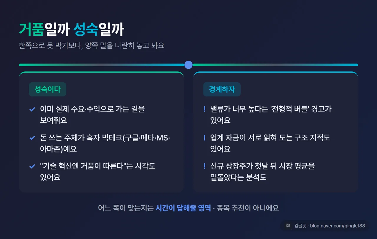 거품 vs 성숙 양팔 저울 - 성숙(실수요·흑자 빅테크 주역·혁신엔 거품 동반) / 경계(고밸류·순환출자·첫날 후 부진)