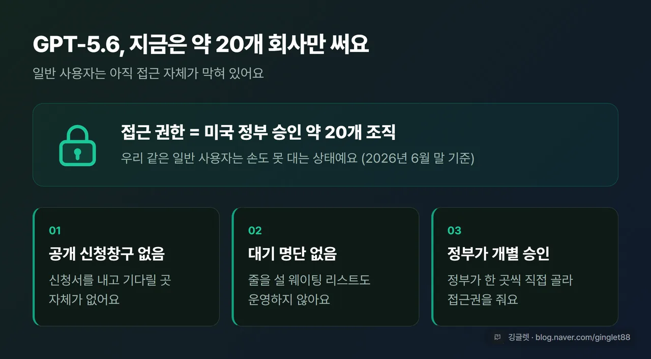 약 20개 회사만 접근 개념 카드 - 자물쇠 아이콘 중앙, 공개 신청창구 없음 / 대기 명단 없음 / 정부가 개별 승인 3개 항목